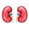 Nephrology